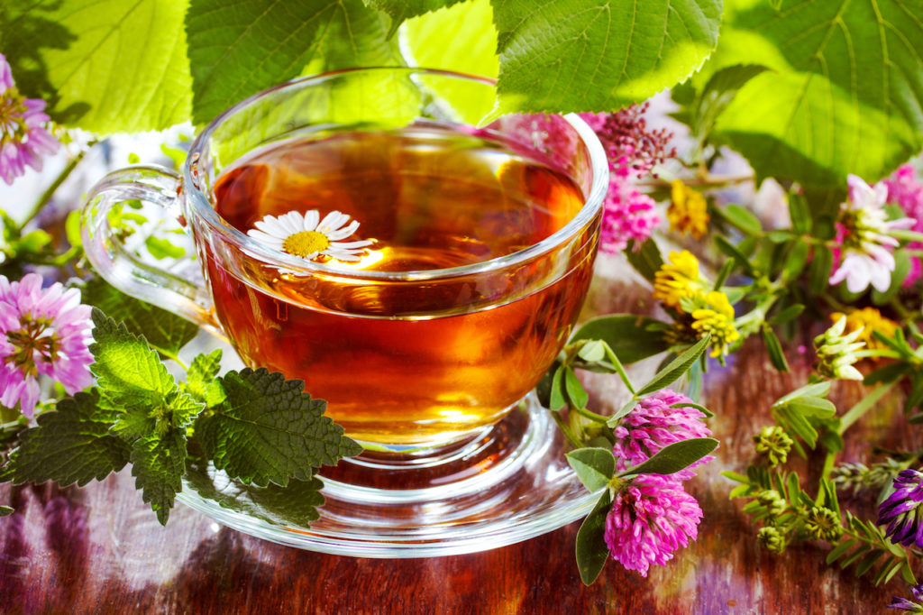 Cup of herbal Detox tea surrounded by fresh tea flowers and leaves.